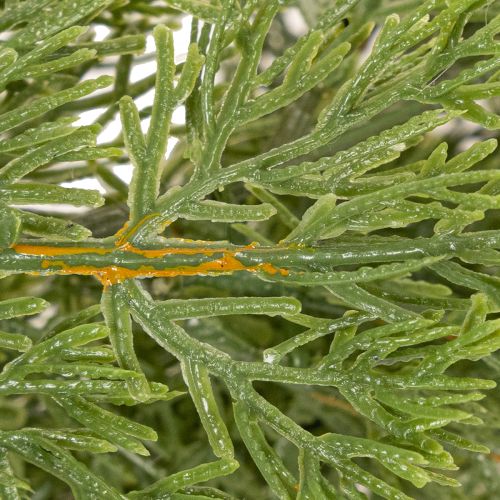 Künstliche Tannengirlande 200 cm Grün für den Innenbereich | Floristik24.ch