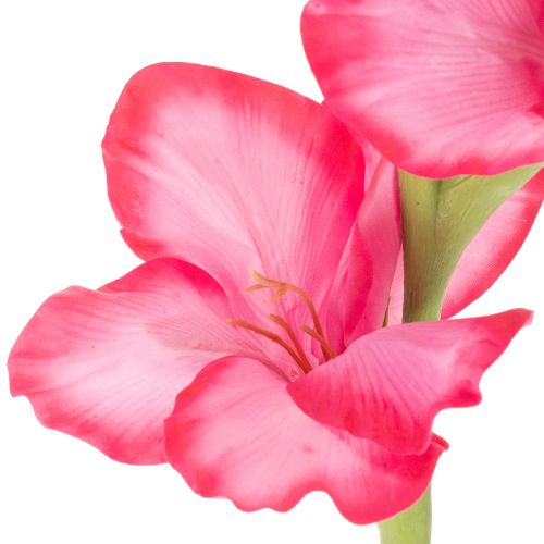 Künstliche Gladiole aus Kunstseide und Kunststoff 88 cm Pink für Innenbereich | Floristik24.ch