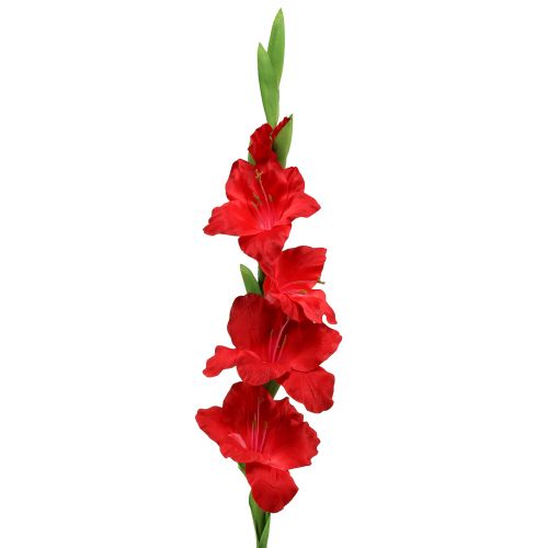 Floristik24 Gladiole Rot künstlich 86cm