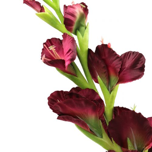 Artikel Gladiole Real-Touch Bordeaux 93cm