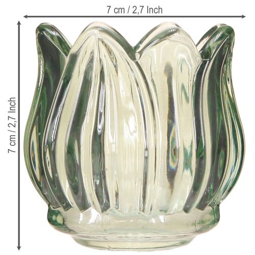 Floristik24 Glas Kerzenhalter Teelichthalter Tulpe Grün Ø7cm H7cm 2St