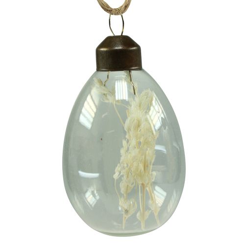 Floristik24 Glas Ostereier zum Aufhängen Trockenblumen Eier 6cm 6 St