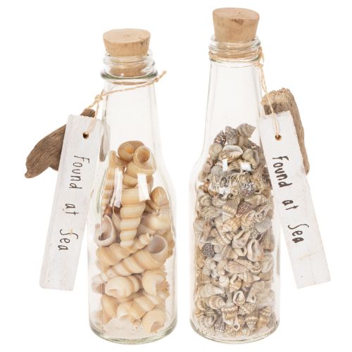 Glasflaschen-Set mit Muscheln und Anhänger, 17 cm, 2 Stück, maritime Tischdekoration