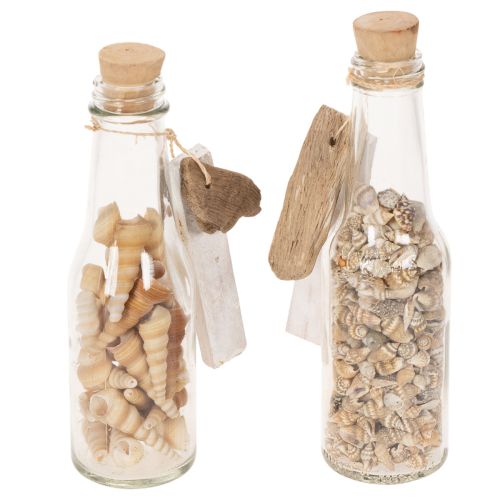 Glasflaschen-Set mit Muscheln und Anhänger, 17 cm, 2 Stück, maritime Tischdekoration | Floristik24.ch