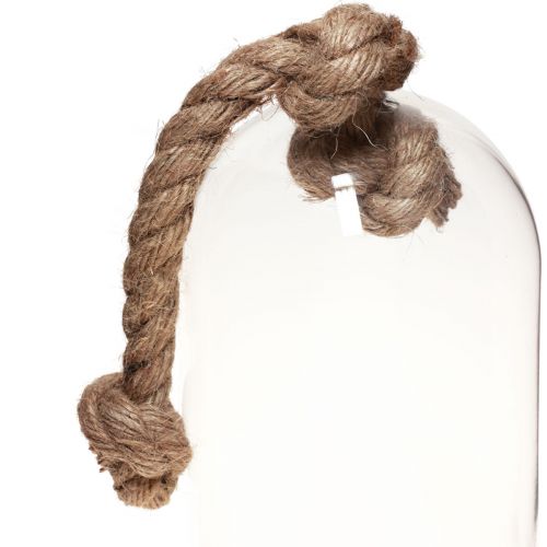 Floristik24 Glasglocken Deko mit Sockel Betonoptik Ø13,5cm H24cm