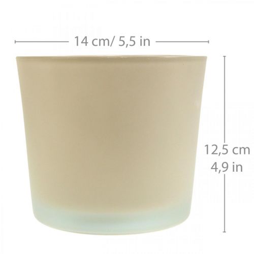 Floristik24 Glas Blumentopf Beige Übertopf Glaskübel Ø14,5cm H12,5cm
