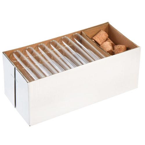 Floristik24 Minivasen Glas Deko Glasröhrchen mit Korken H11,5cm 24 St