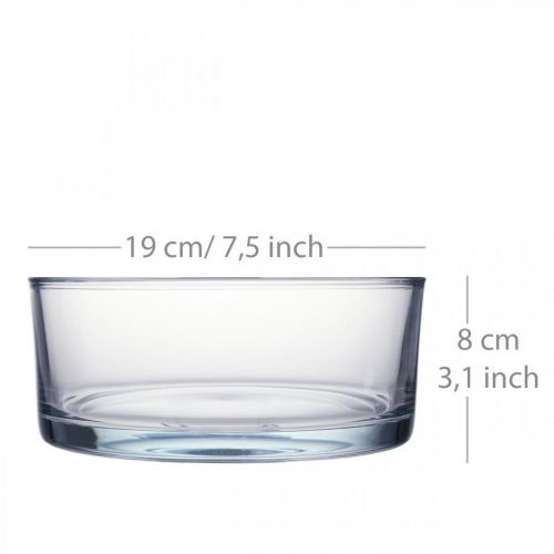 Floristik24 Glasschale Ø19cm H8cm
