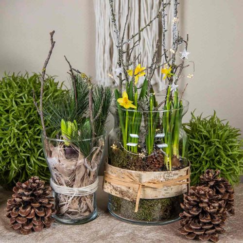 Floristik24 Glasvase klar Deko Vase Glas Windlicht Blumenvase Ø18cm H25cm