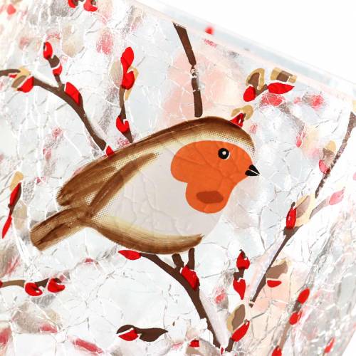 Floristik24 Windlicht Rotkehlchen Crackle Klar Ø9cm H10cm