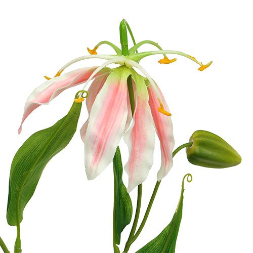 Floristik24 Gloriosa Rosa-Weiß künstlich 84cm 3St
