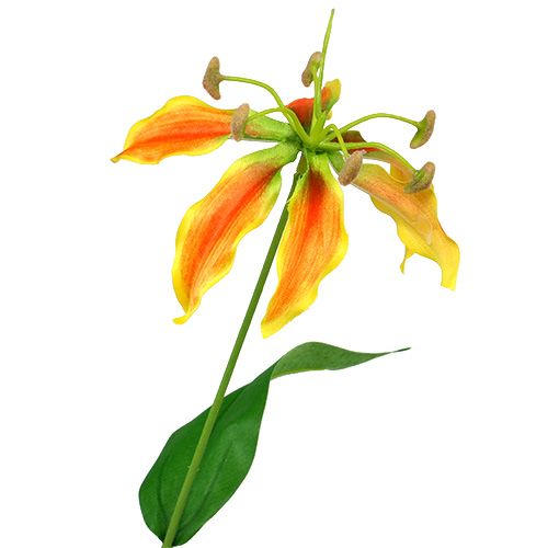 Floristik24 Gloriosa Zweig Orange-Gelb 90cm 1St