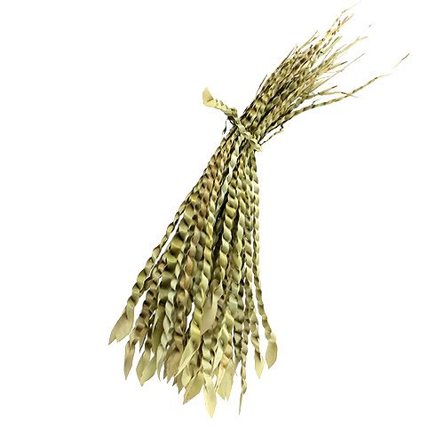 Floristik24 Gold Ranke Natur 50 St