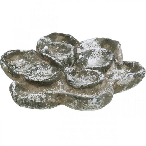 Floristik24 Grabdeko, Beton Deko, Gartendekoration, Betonrose Ø21cm