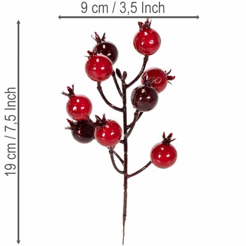 Künstliche Granatapfelzweige 19 cm, 4 Stück, rot, für Vase und Gestecke | Floristik24.ch
