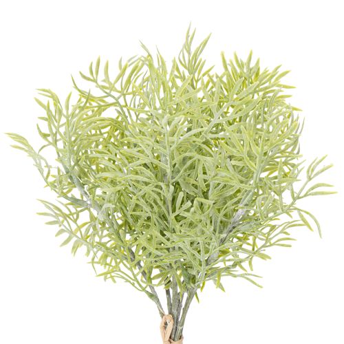 Floristik24 Zierspargel Zweig naturnahe Ergänzung für Blumensträuße 34cm 7St