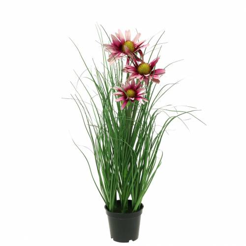 Artikel Gras mit Echinacea künstlich im Topf Pink 44cm