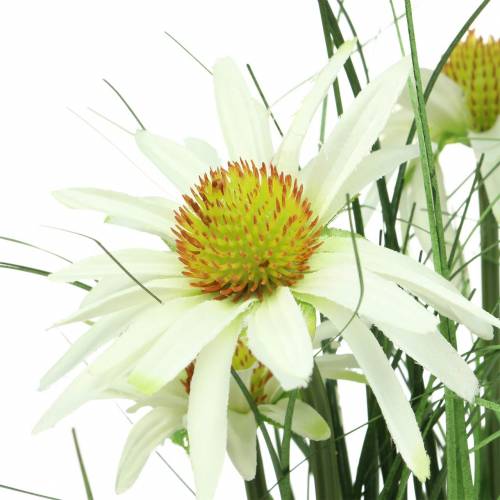 Floristik24 Gras mit Echinacea künstlich im Topf Weiß 52cm