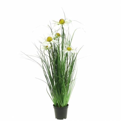 Floristik24 Gras mit Echinacea künstlich im Topf Weiß 52cm