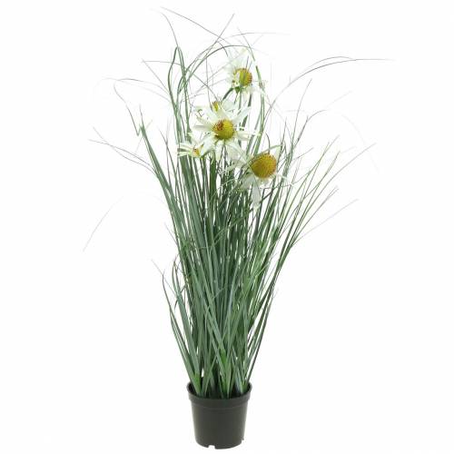 Floristik24 Gras mit Echinacea künstlich im Topf Weiß 56cm