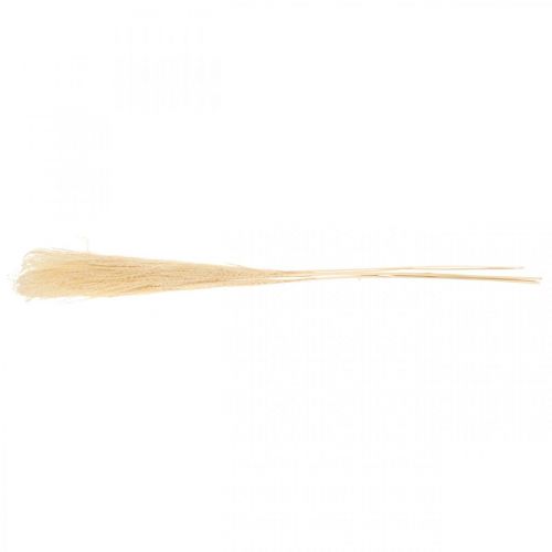 Floristik24 Getrocknetes Deko Gras Natur Ziergras Trockendeko 6Stiele 