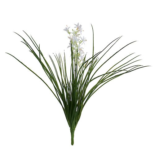 Floristik24 Grasbusch mit Blüten Grün, Weiß 3St