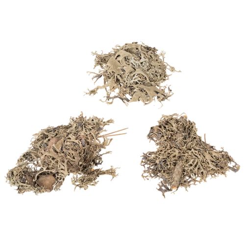 Dekomoos Graumoos 500g für kreative Gestaltung und Dekoration | Floristik24.ch