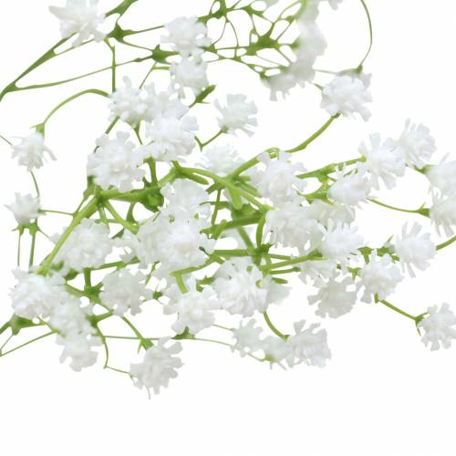 Floristik24 Schleierkraut Gypsophila Weiß 66cm