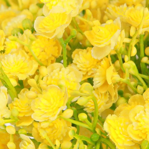 Artikel Gypsophila Rispiges Gipskraut Gelbe Blüten L46cm 4 St