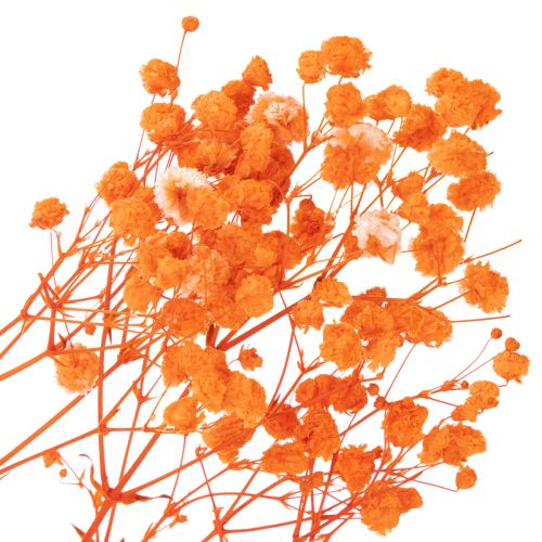 Schleierkraut Trockenblumenstrauss Gypsophila Orange 75cm 100g | Floristik24.ch
