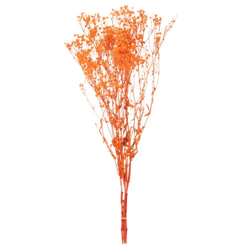 Schleierkraut Trockenblumenstrauss Gypsophila Orange 75cm 100g | Floristik24.ch
