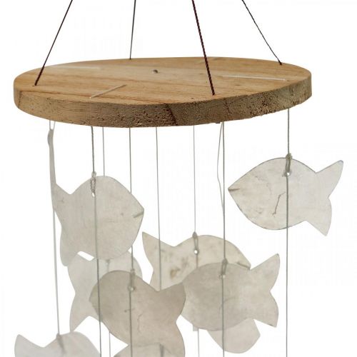 Floristik24 Hängedeko Muscheln Capiz Windspiel Garten Ø12cm L49cm