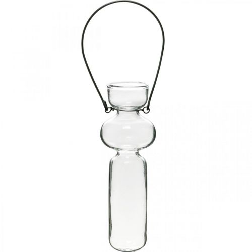 Floristik24 Mini Glasvasen zum Aufhängen Glasdeko mit Drahtbügel H14cm 4St