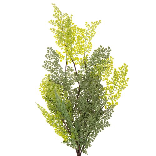 Künstlicher Farnzweig aus Kunststoff, Grün, 80 cm lang, für Vasen und floristische Dekoration | Floristik24.ch