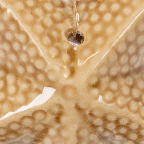 Artikel Seestern Keramik Deko zum Aufhängen für maritimes Flair Sommerdeko Wohnung 12cm 2St