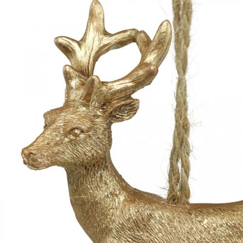 Floristik24 Weihnachtsanhänger Rentier Deko Hirsch Gold 9,5cm 4St