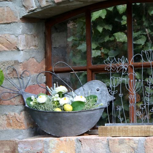 Floristik24 Hängetopf Metall Vogel Wand Blumentopf zum Hängen 34×22cm