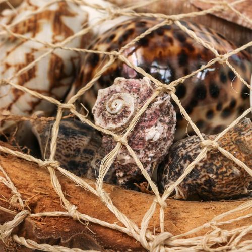 Artikel Halbe Kokosnussschale Deko Muscheln Schneckenhäuser Deko 18–19cm 3 St