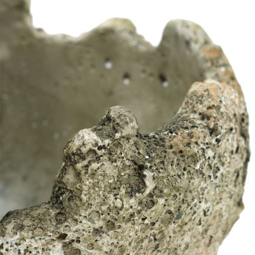 Floristik24 Betonkugel zum Bepflanzen Ø15cm H13,5cm