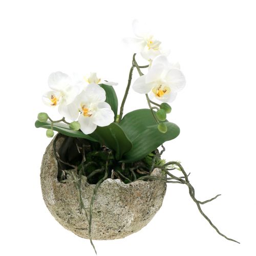 Floristik24 Betonkugel zum Bepflanzen Ø15cm H13,5cm