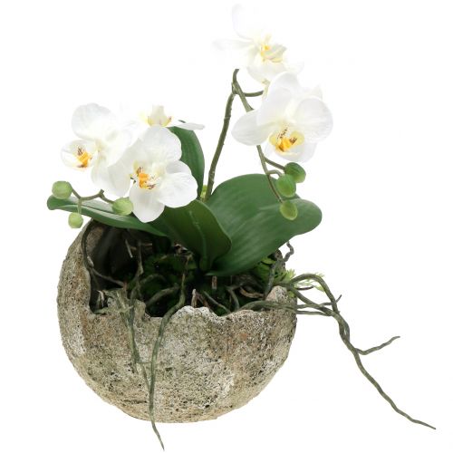 Floristik24 Betonkugel zum Bepflanzen Ø17cm H17,5cm