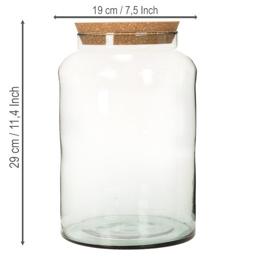 Halboffene Terrariumflasche aus recyceltem Glas mit Korkdeckel, 29 cm hoch | Floristik24.ch