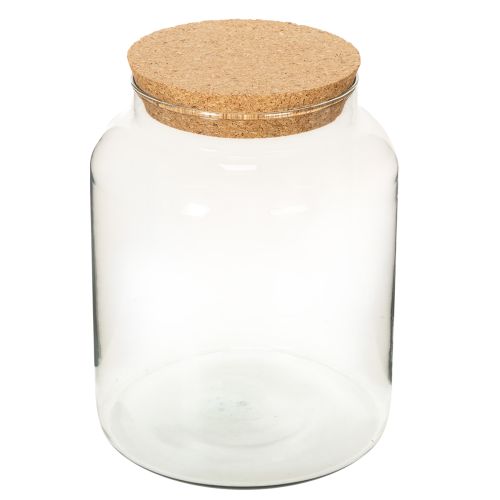 Terrarienflasche aus recyceltem Glas mit Korkdeckel 24 cm | Floristik24.ch