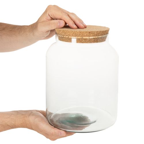 Terrarienflasche aus recyceltem Glas mit Korkdeckel 24 cm | Floristik24.ch