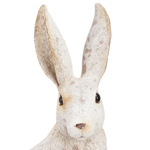 Floristik24 Hase Sitzender Osterhase Osterdeko Shabby Chic 16×13×35cm