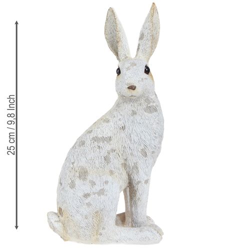 Floristik24 Deko Hase sitzend Figur Osterhase Shabby Chic 12×9×25cm
