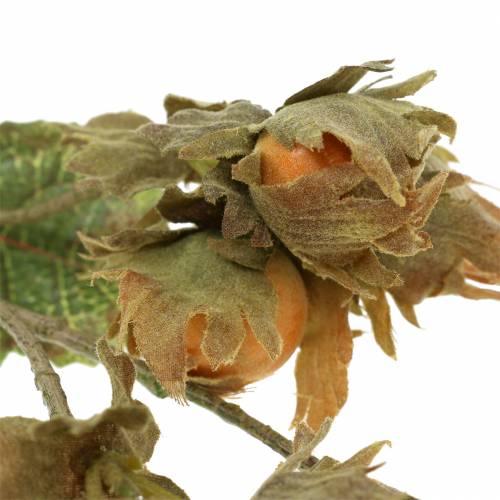 Floristik24 Haselnusszweig Grün/Braun 84cm