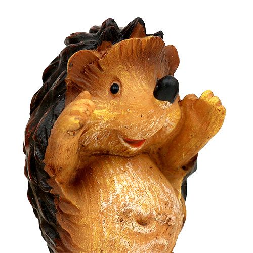 Floristik24 Herbstdeko Igel mix 6cm Braun 6St