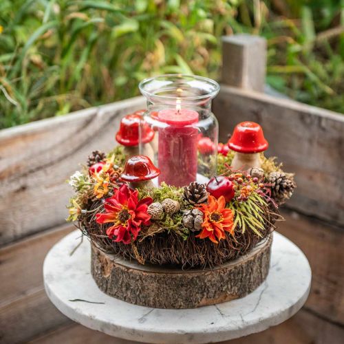 Floristik24 Herbstdeko Deko Pilze aus Holz Rot Holzpilze H5-7cm 6St