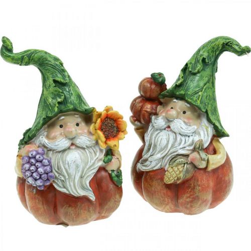 Herbstwichtel Kürbis Deko Wichtel Figur Sortiert H11,5cm 2St